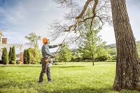  Wilmington Island, GA Tree Removal Pros