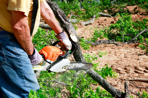 Lawn Irrigation Installation and Maintenance in Wilmington Island, GA